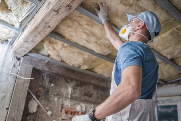 Best Residential Insulation in Elmwood, LA