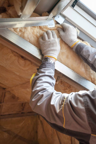Best Insulation for Specific Applications in Elmwood, LA