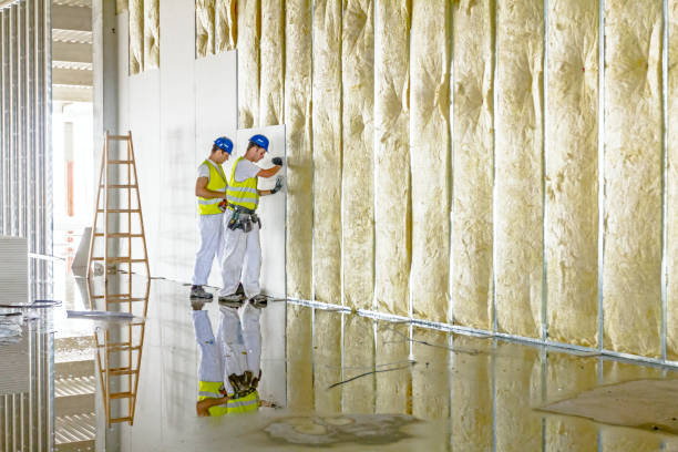 Best Commercial Insulation in Elmwood, LA